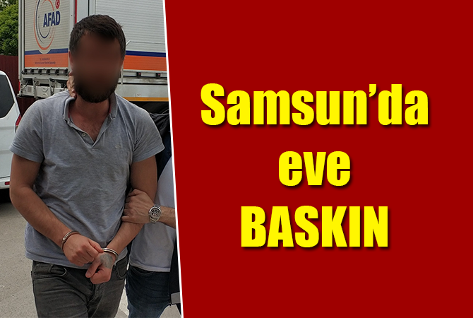 Evinde bonzai ele geçen şahıs gözaltına alındı