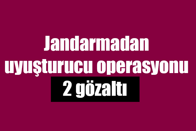 Jandarmadan uyuşturucu operasyonu: 2 gözaltı