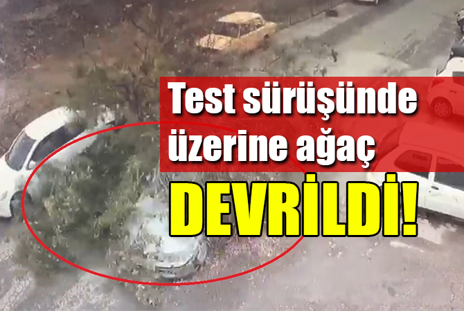 Sanayide test sürüşü yapılan aracın üzerine ağaç devrildi