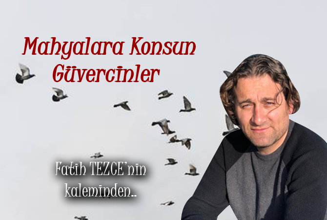 MAHYALARA KONSUN GÜVERCİNLER