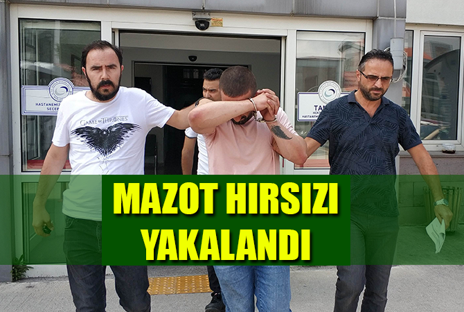 MAZOT HIRSIZI YAKALANDI