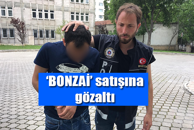 Bonzai satışına gözaltı