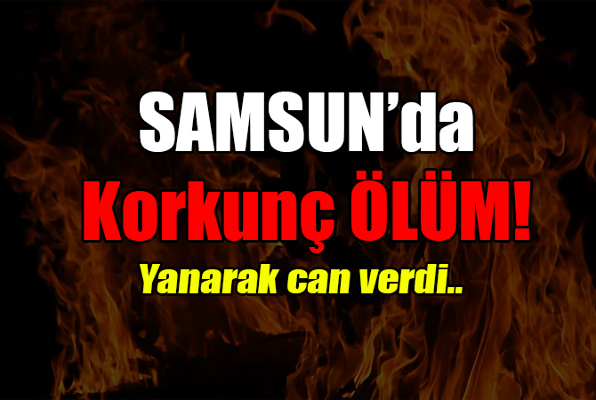 Odun yığınları ile birlikte yanarak öldü