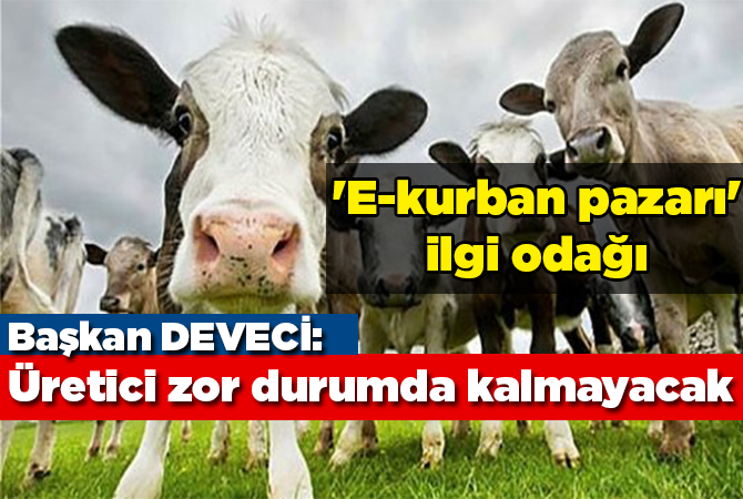 ‘E-kurban pazarı’ ilgi odağı