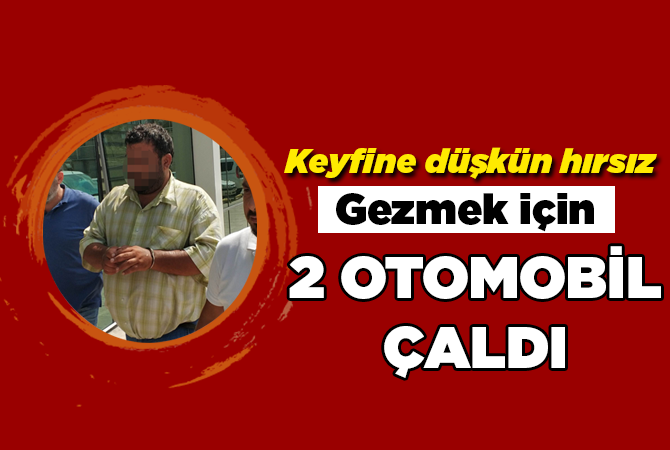 Gezmek için 2 otomobil çaldı