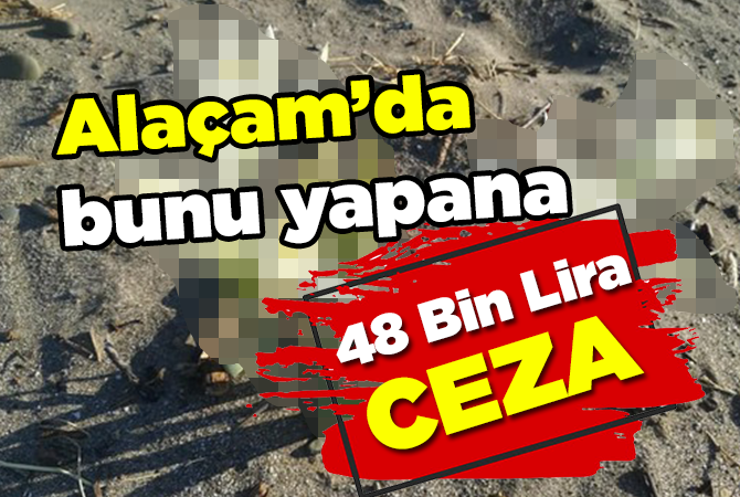 Bu çiçeği Koparana 48 Bin Lira Ceza