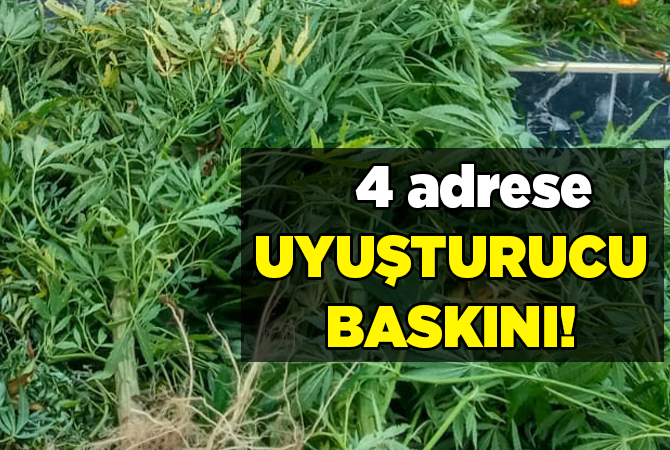 4 AYRI ADRESE UYUŞTURUCU OPERASYONU