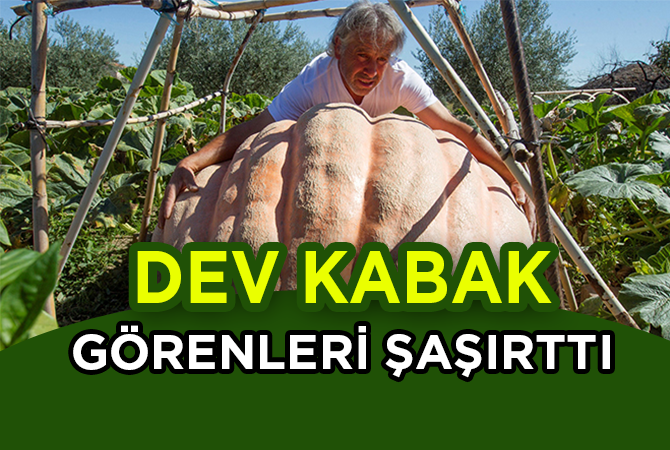 DEV KABAK GÖRENLERİ ŞAŞIRTTI