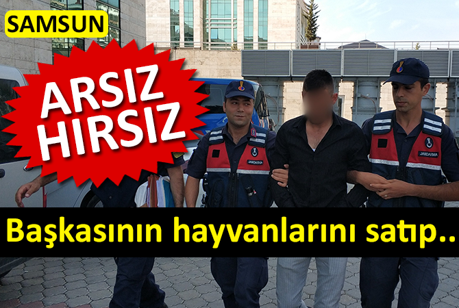 Başkasının hayvanlarını satıp parayla kaçtı