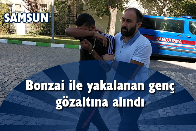 Bonzai ile yakalanan genç gözaltında