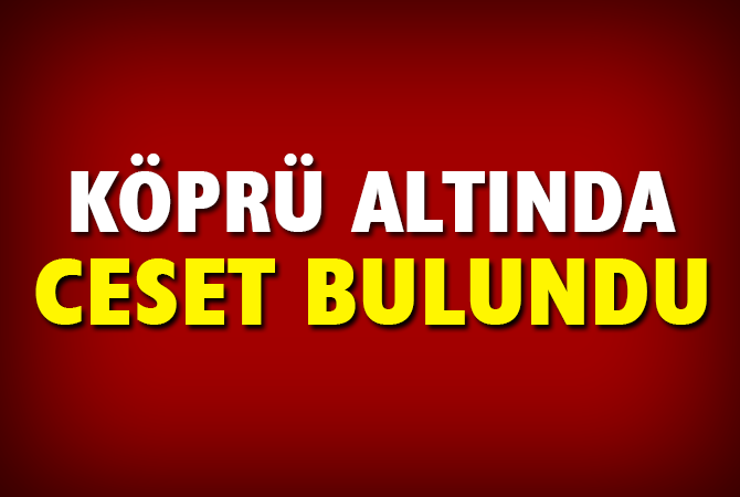 Köprü altında ölü bulundu