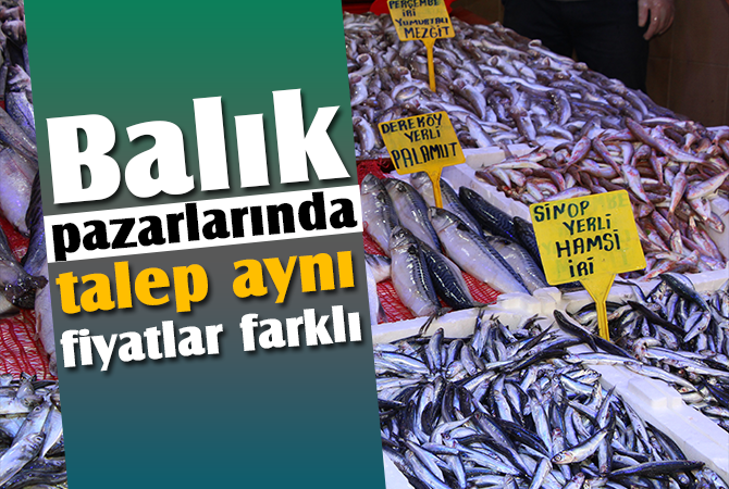 Balık pazarlarında talep aynı fiyatlar farklı