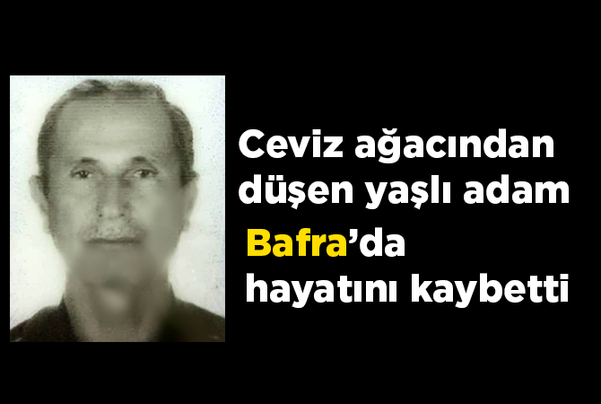 Ceviz ağacından düşen yaşlı adam hayatını kaybetti
