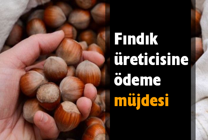 Fındık üreticisine ödeme müjdesi