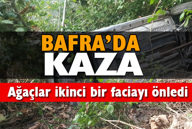 Ağaçlar otomobilin ırmağa uçmasını engelledi