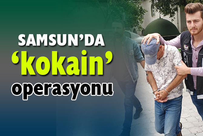 Satışa hazır paketler halinde kokain ile yakalandı