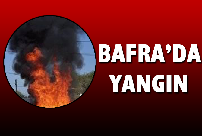 BAFRA HALİNDE YANGIN