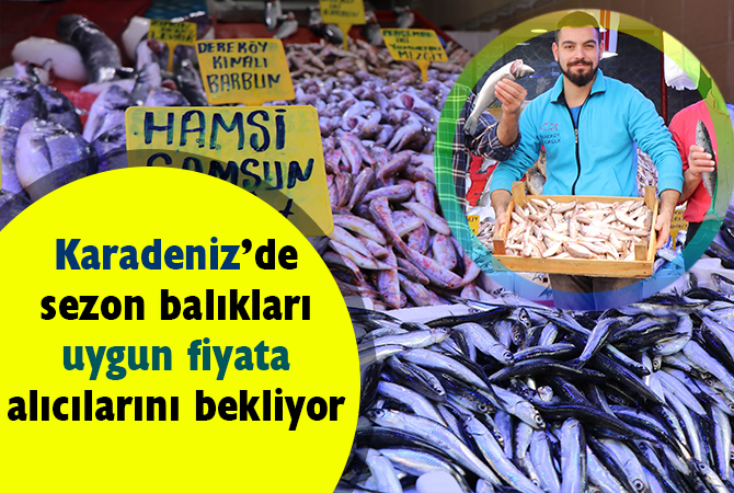 Karadeniz’de sezon balıkları uygun fiyata alıcılarını bekliyor