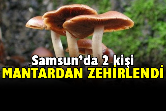 Samsun’da 2 kişi mantardan zehirlendi
