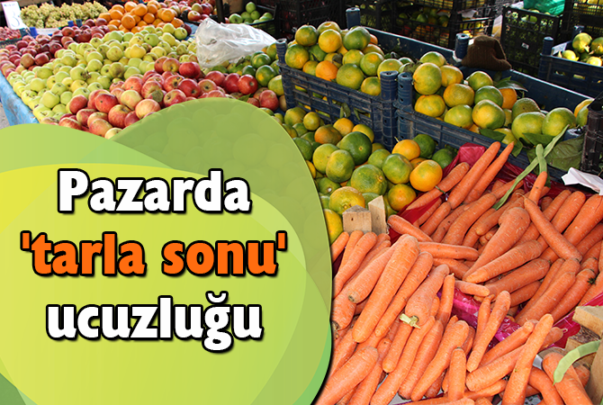 Pazarda ‘tarla sonu’ ucuzluğu