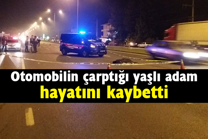 Otomobilin çarptığı yaşlı adam hayatını kaybetti