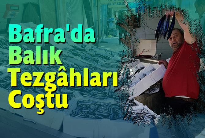 Bafra’da Balık Tezgâhları Coştu 