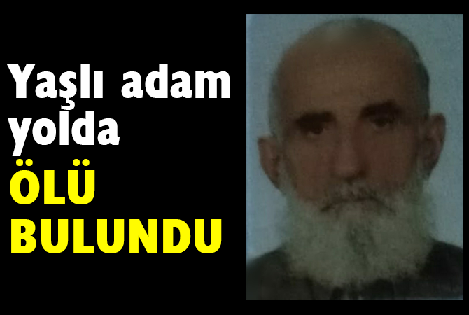 Yaşlı adam yolda ölü bulundu