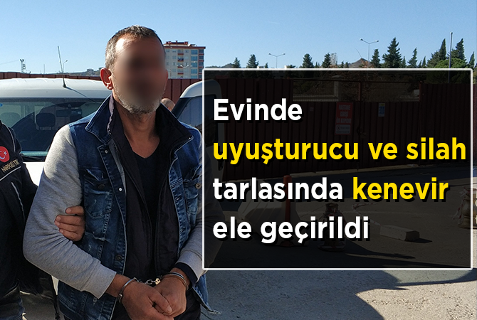 Evinde uyuşturucu ve silah, tarlasında kenevir ele geçirildi