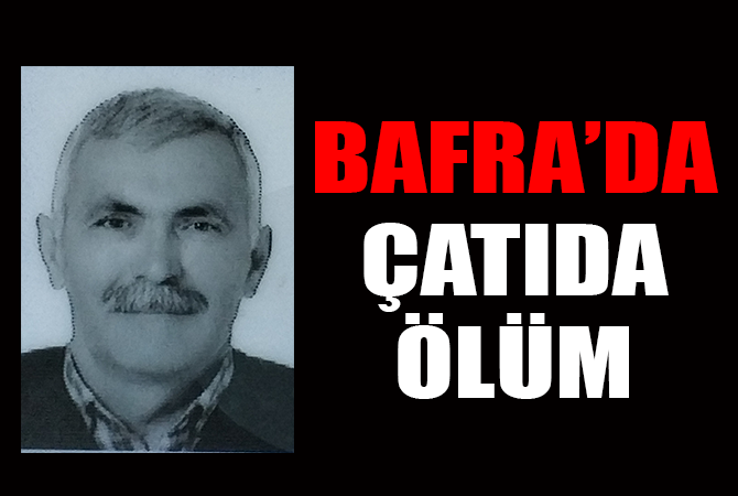 Ağaç budamak için çıktığı çatıda kalp krizi geçirerek öldü