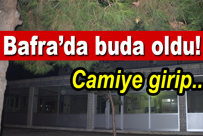 Hırsız, camideki sadaka kutusunu ve telefonu çaldı