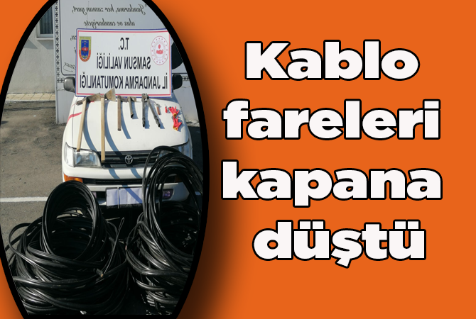 Kablo hırsızları önce fotokapana, sonra jandarmaya yakalandı