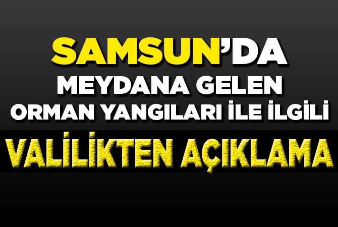 İlimizde Meydana Gelen Orman Yangınları İle İlgili Basın Açıklaması 