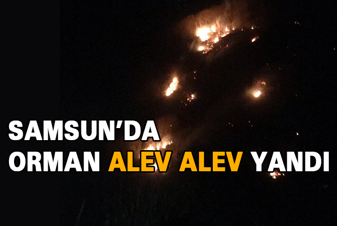 Ayvacık’ta orman yangını