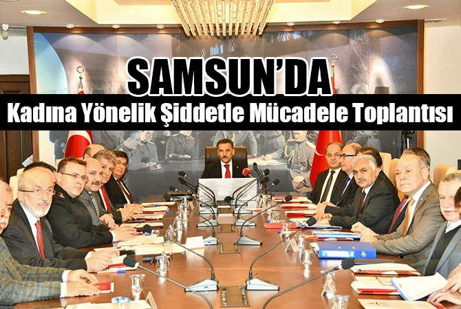 Kadına Yönelik Şiddetle Mücadele Toplantısı