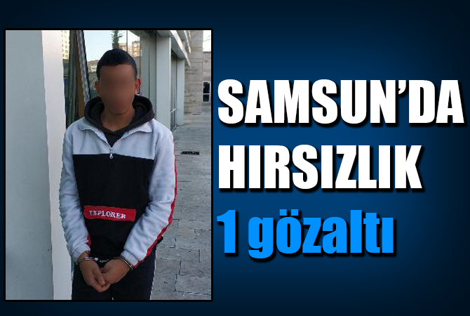 Demir hırsızlığına gözaltı