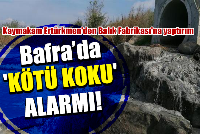 Kaymakam Ertürkmen’den Balık Fabrikası’na yaptırım ‘KÖTÜ KOKU’ ALARMI!