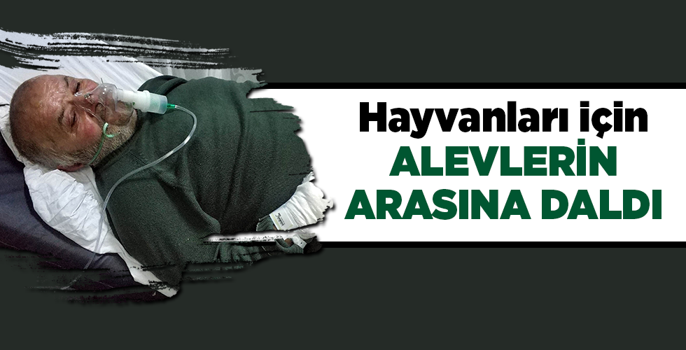  Yangında hayvanları kurtarmak isterken hastanelik oldu