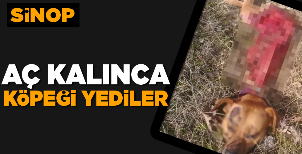 AÇ KALINCA KÖPEĞİ YEDİLER