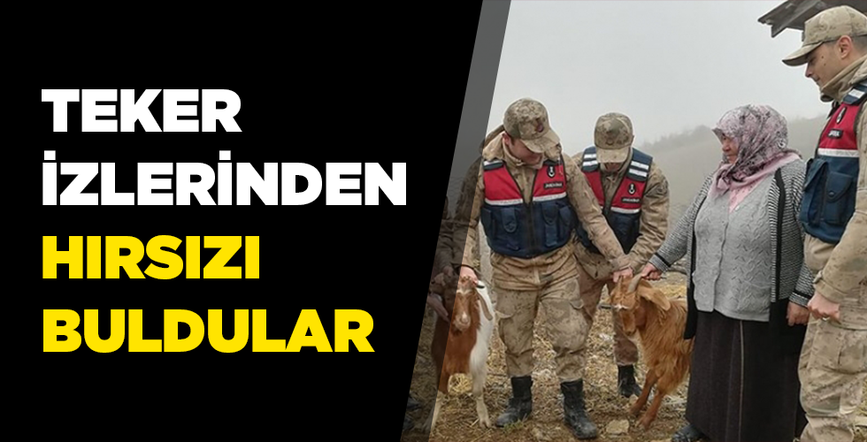 Jandarma teker izlerinden hayvan hırsızına ulaştı