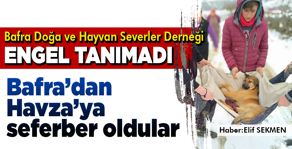 Bafra Doğa ve Hayvan Severler Derneği engel tanımadı