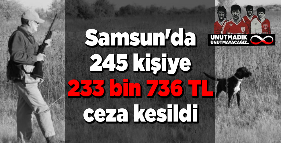Samsun’da 245 kişiye 233 bin 736 TL ceza kesildi