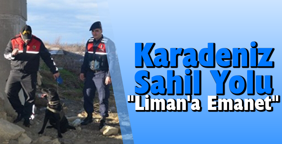 Karadeniz Sahil Yolu “Liman’a Emanet”