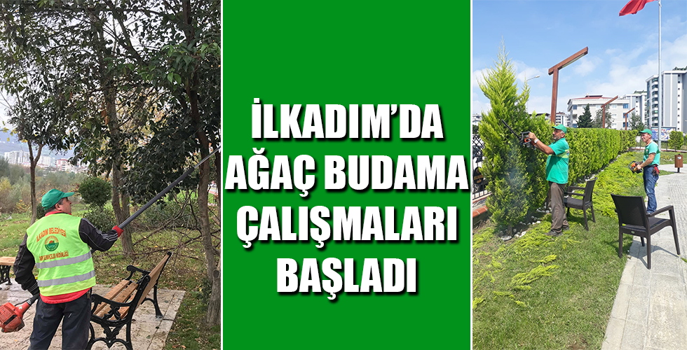İLKADIM’DA AĞAÇ BUDAMA ÇALIŞMALARI BAŞLADI