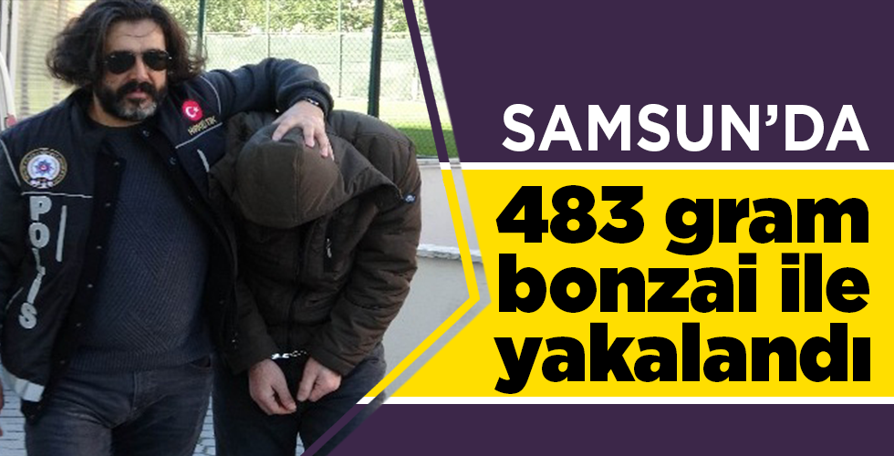 483 gram bonzai ile yakalandı