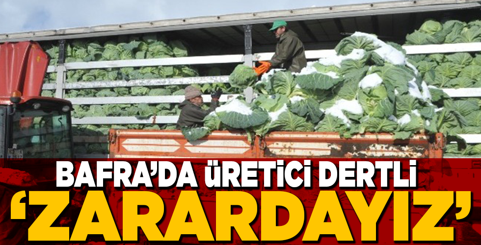 BAFRALI ÜRETİCİ FİYATTAN MEMNUN DEĞİL