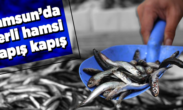 Hamsinin kulağına kar suyu kaçtı, tezgahlar şenlendi.