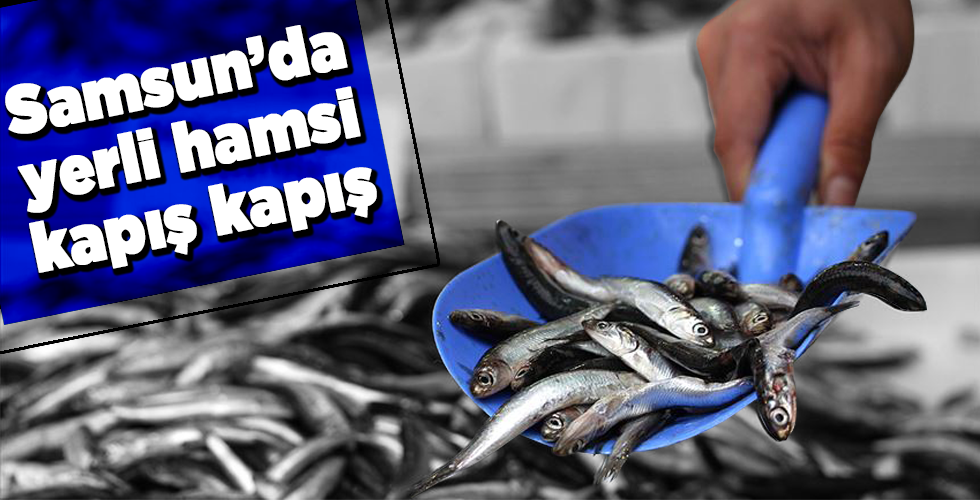 Hamsinin kulağına kar suyu kaçtı, tezgahlar şenlendi.