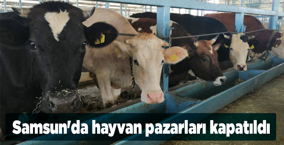 Samsun’da hayvan pazarları kapatıldı