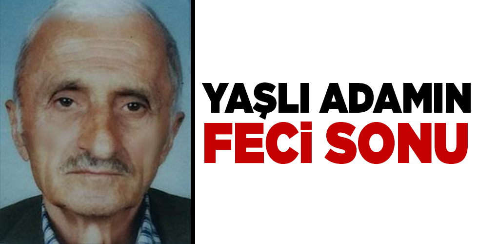 YAŞLI ADAMIN FECİ SONU