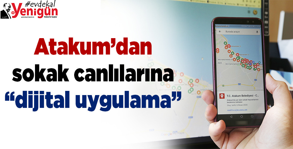 Sokak canlıları için Atakum’dan dijital besleme noktaları haritası